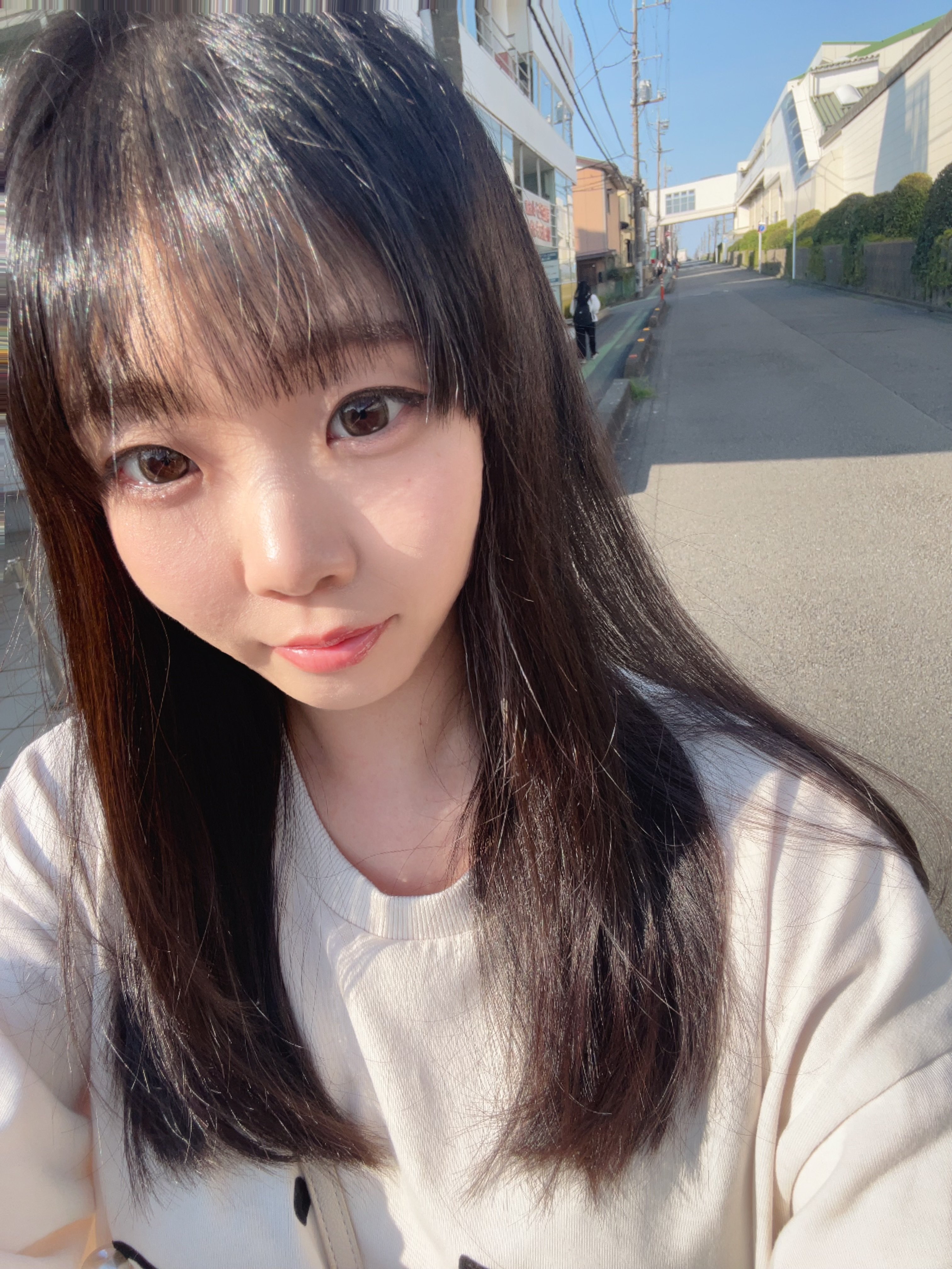 本日