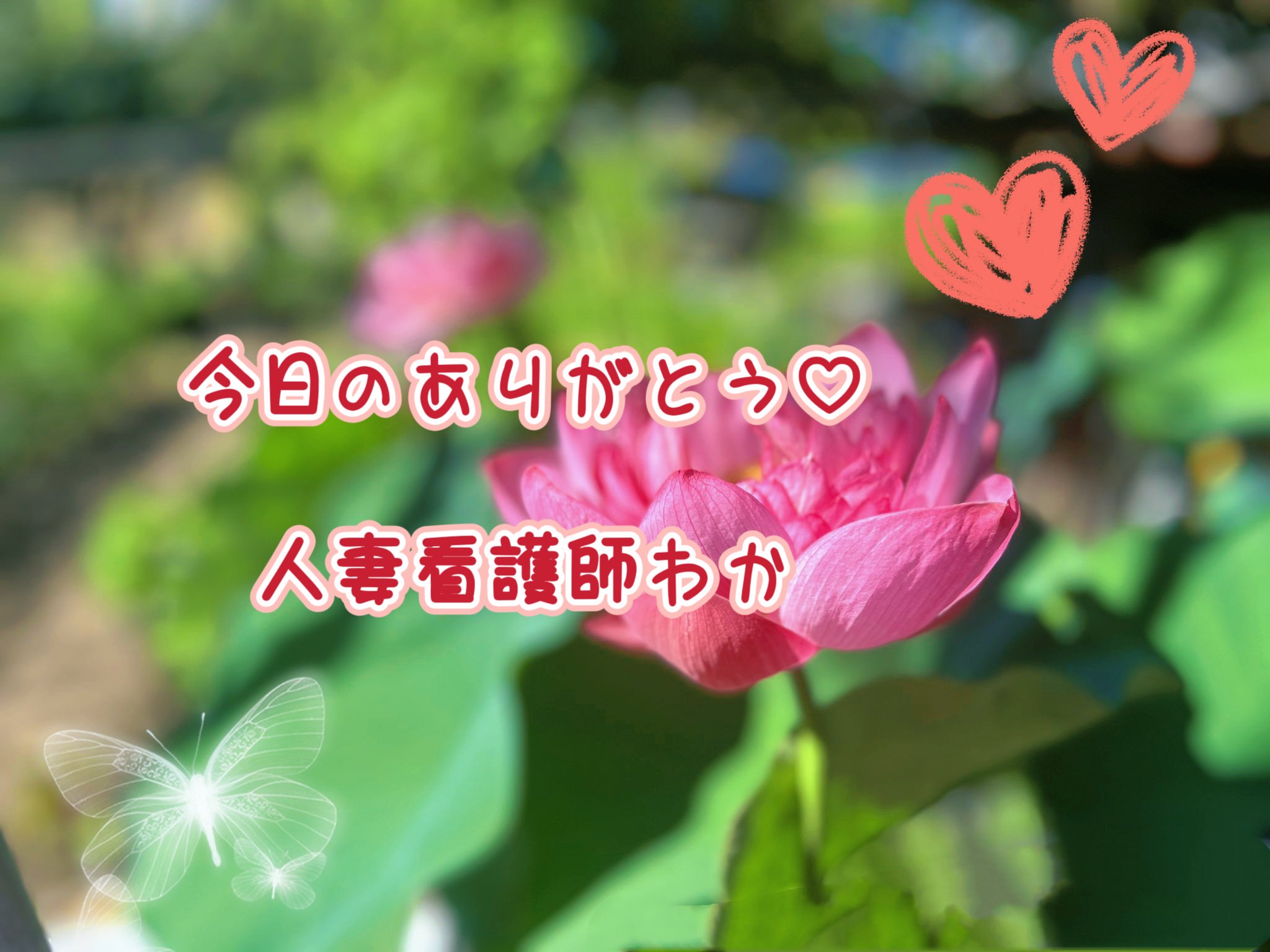 今日のありがとう🌹