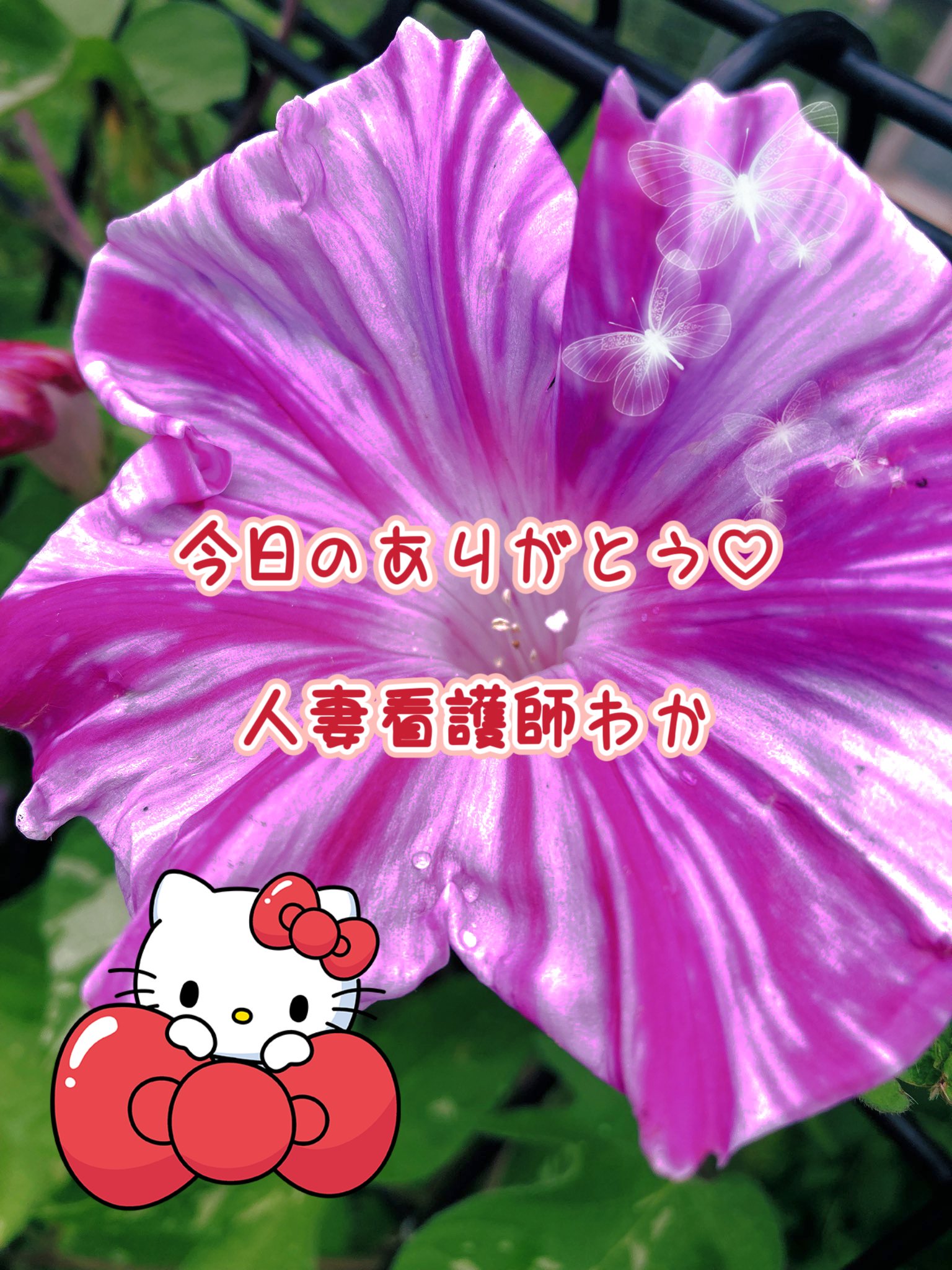 今日のありがとう🌹