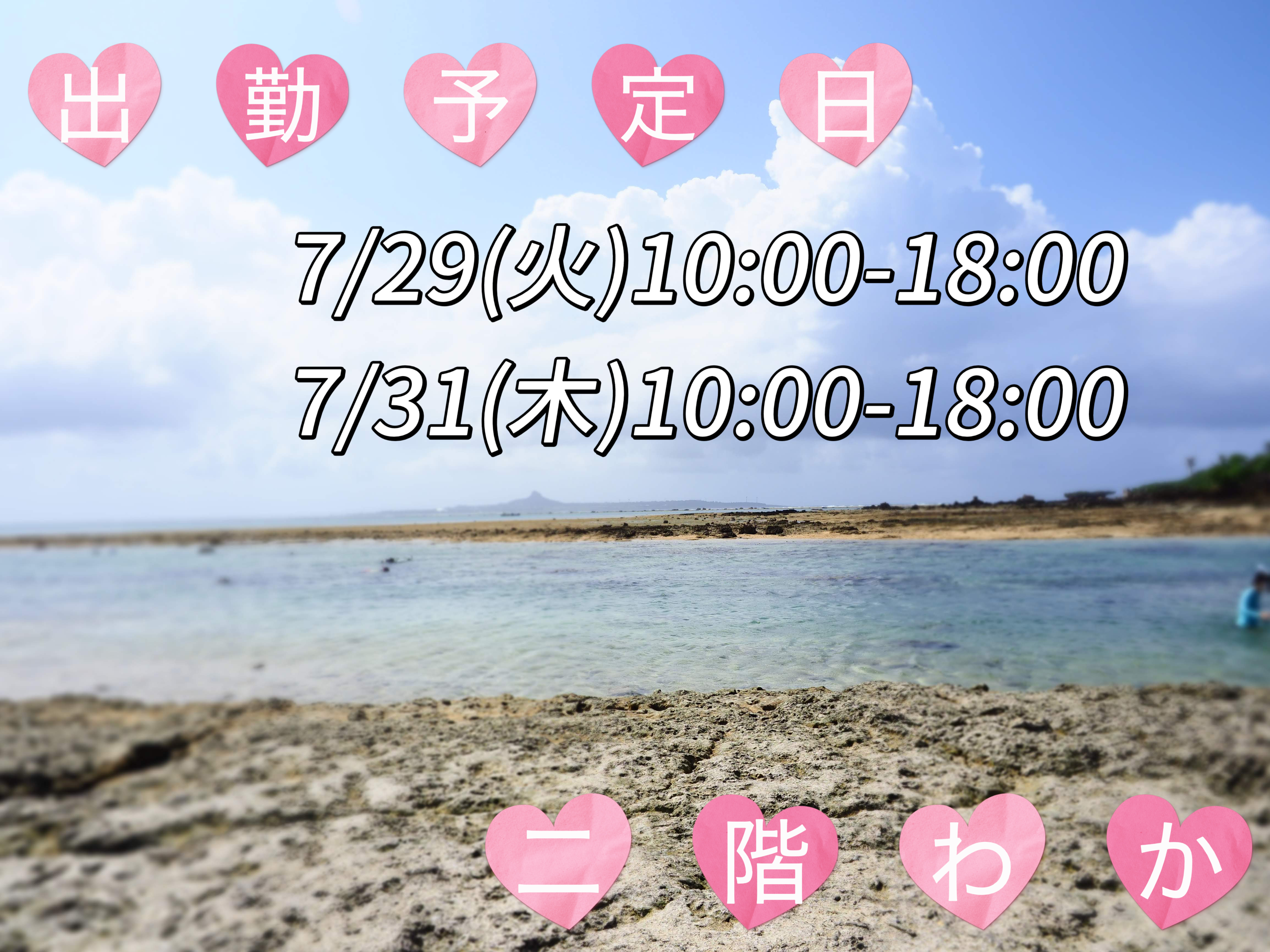 海🐬