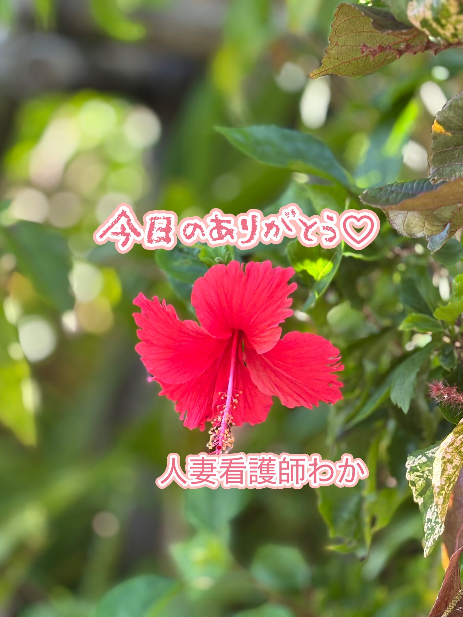 今日のありがとう🌹