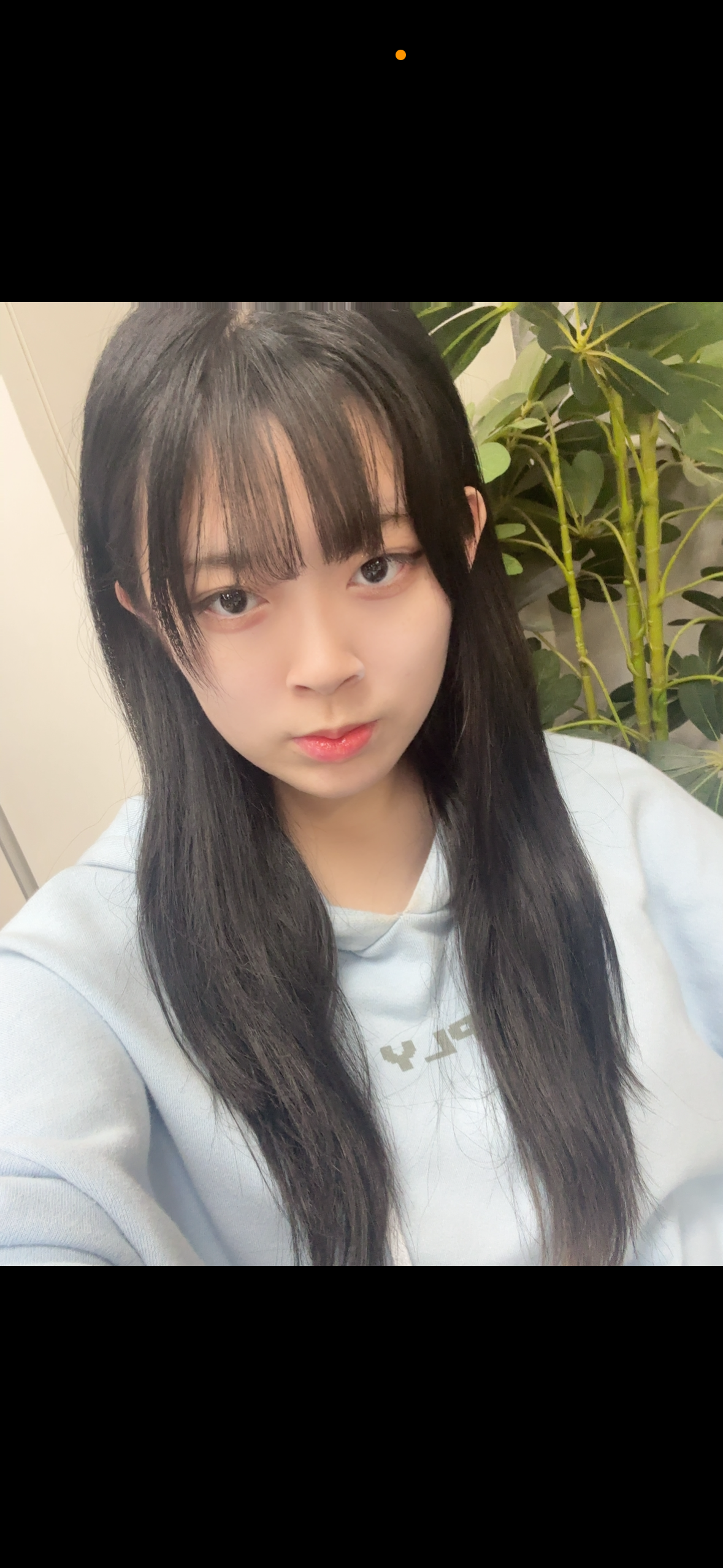 会いたくて触れたくて