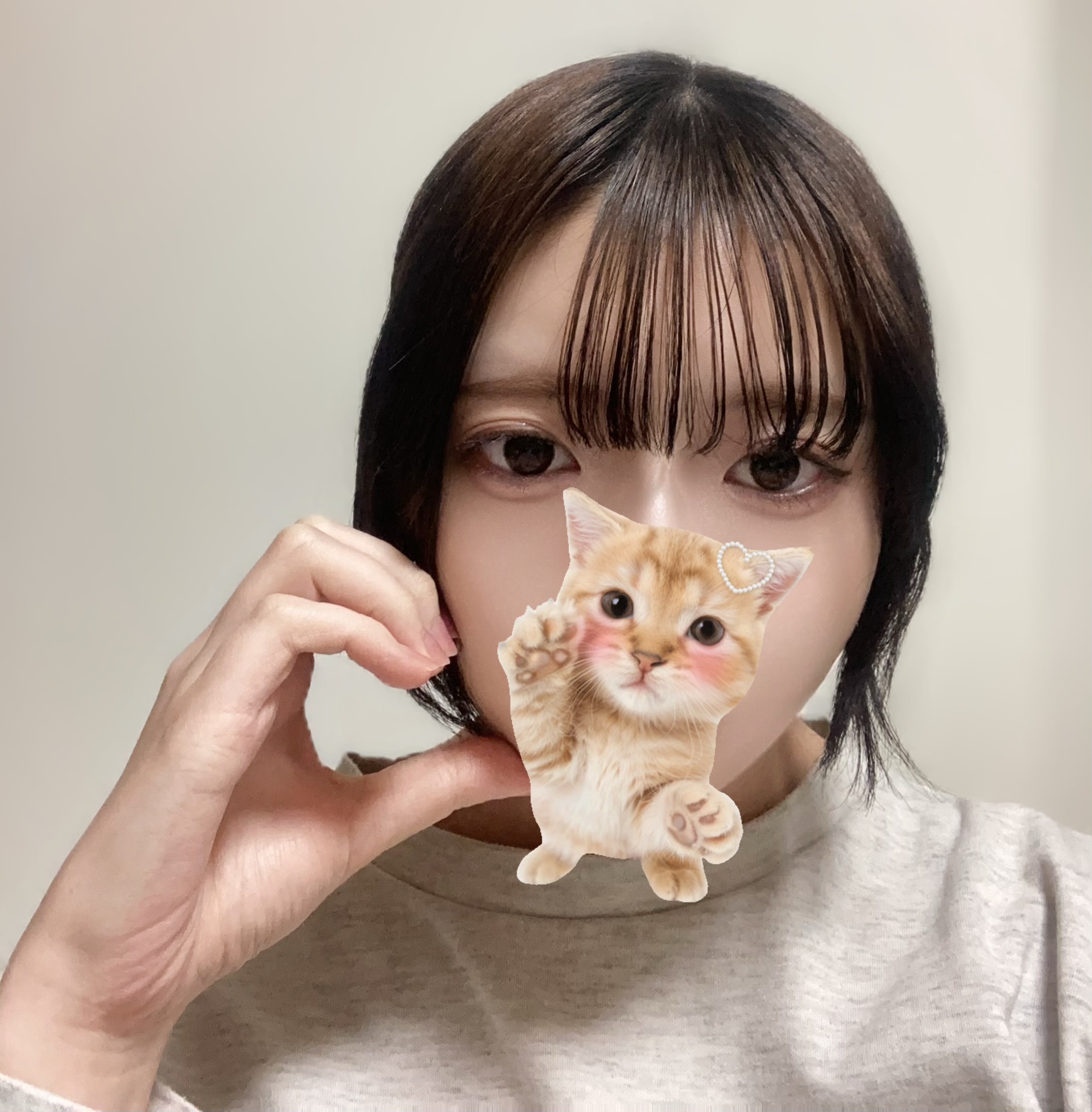 はじめまして✨️