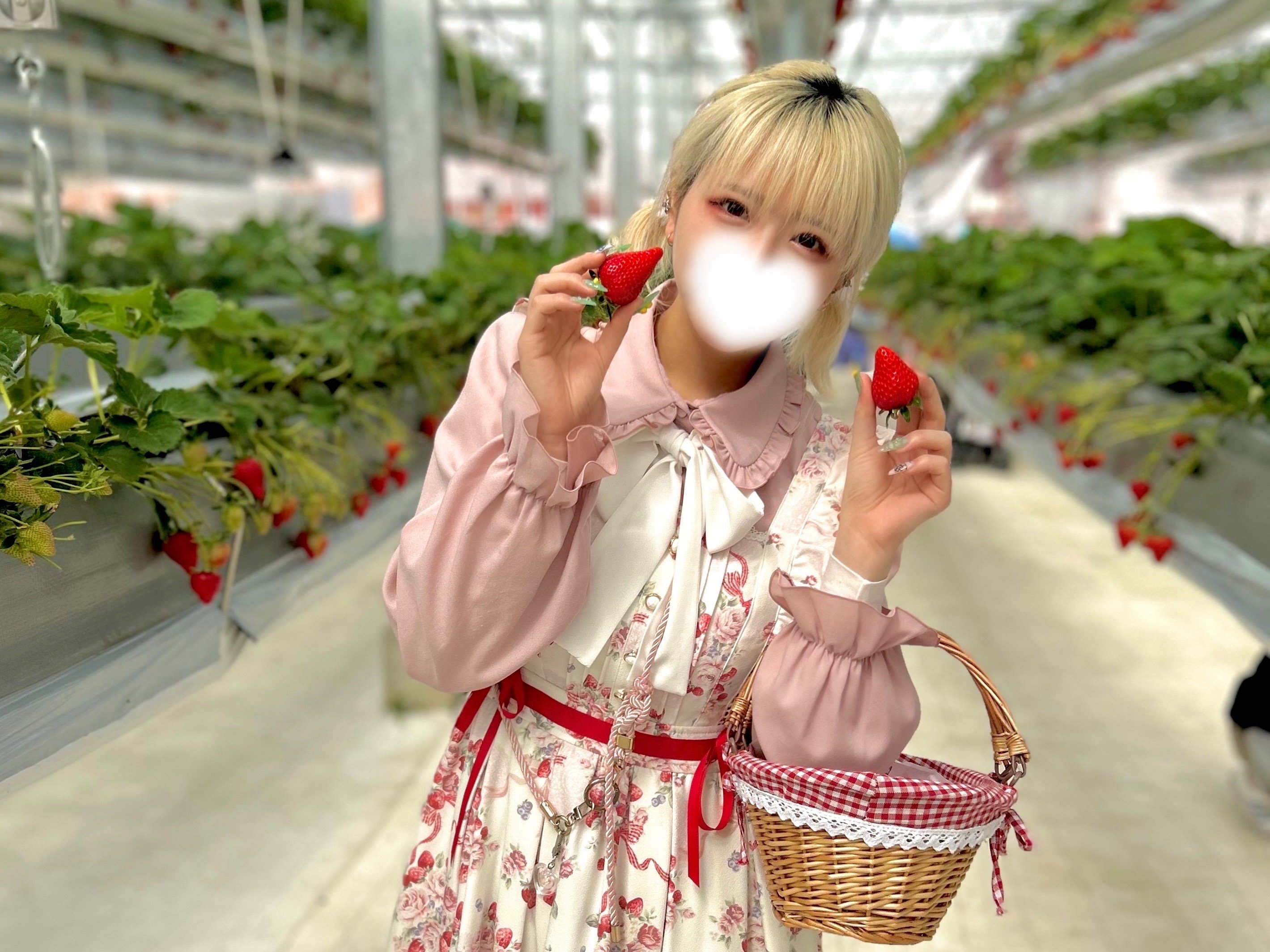 いちご 画像 2